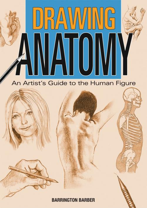 Cover of the book Drawing Anatomy by Barrington Barber, Arcturus Publishing
