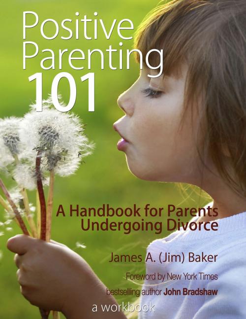 Cover of the book Positive Parenting 101 by James A. (Jim) Baker, Bayou Publishing