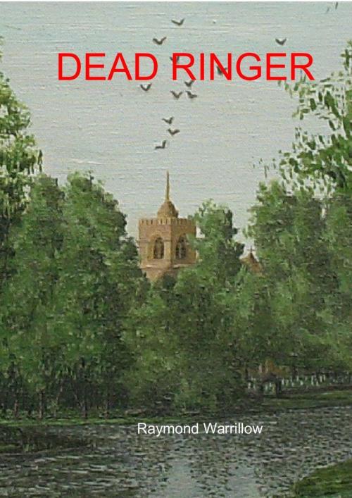 Cover of the book Dead Ringer by Raymond Warrillow, Raymond Warrillow