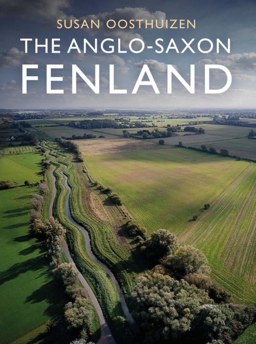 Cover of the book The Anglo-Saxon Fenland by Susan Oosthuizen, Windgather Press