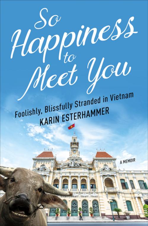Cover of the book So Happiness to Meet You by Karin Esterhammer, Prospect Park Books