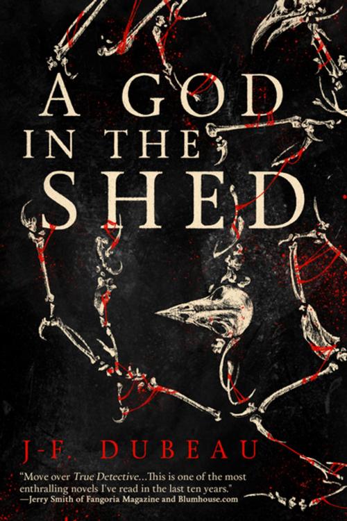 Cover of the book A God in the Shed by J-F. Dubeau, Inkshares