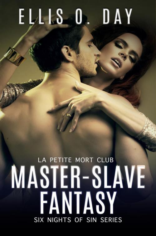 Cover of the book Master-Slave Fantasy by Ellis O. Day, L. S. O'Dea