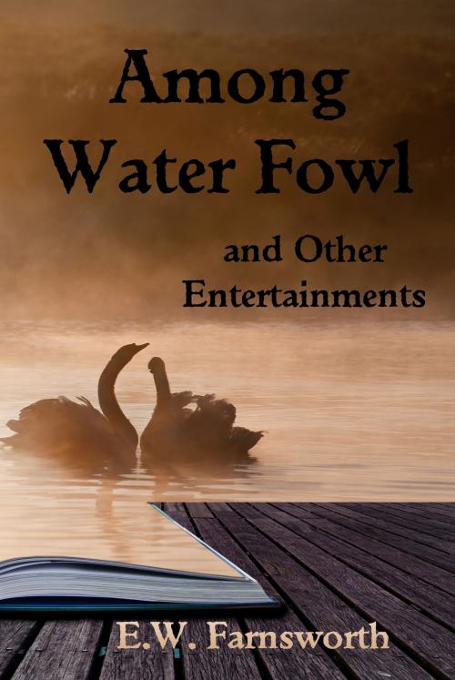 Cover of the book Among Water Fowl and Other Entertainments by E.W. Farnsworth, Zimbell House Publishing