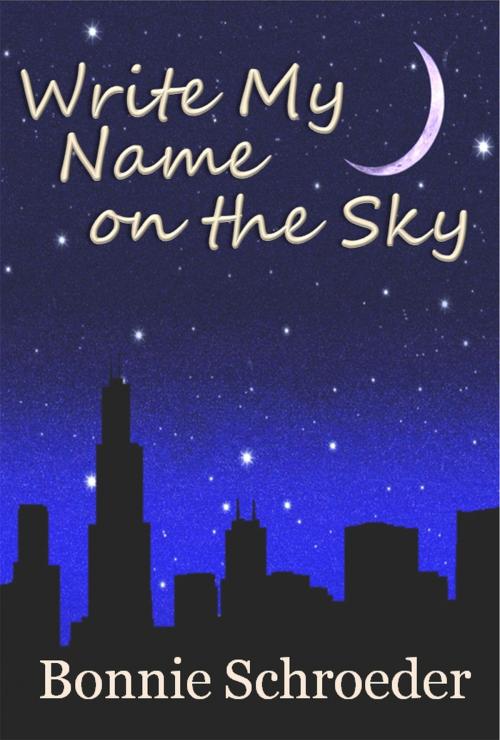 Cover of the book Write My Name on the Sky by Bonnie Schroeder, Champlain Avenue Books, Inc.