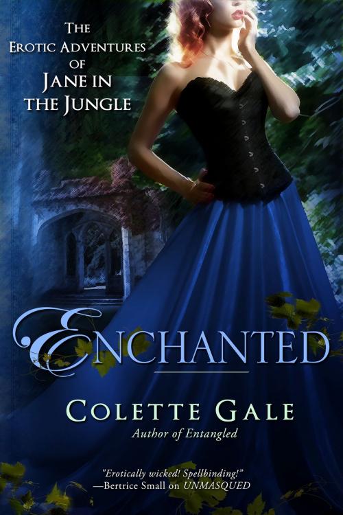 Cover of the book Enchanted by Colette Gale, Avid Press