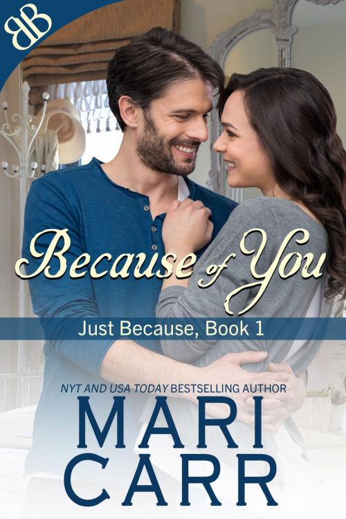 Cover of the book Because of You by Mari Carr, Book Boutiques