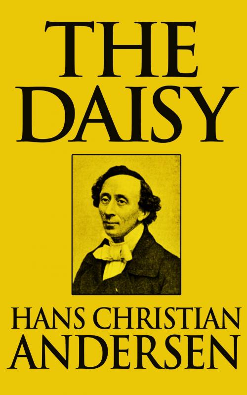 Cover of the book The Daisy by Hans Christian Andersen, Dreamscape Media