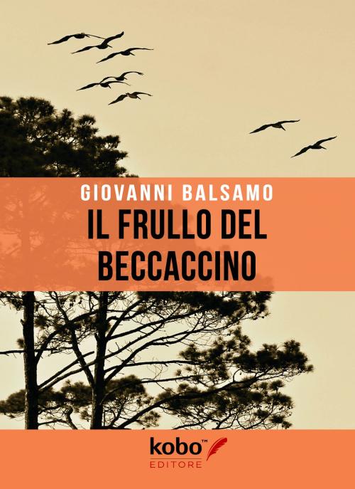 Cover of the book Il Frullo del Beccaccino by Giovanni Balsamo, Kobo Editore