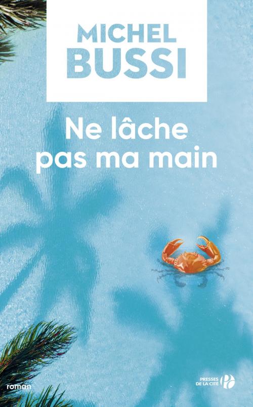 Cover of the book Ne lâche pas ma main by Michel BUSSI, Place des éditeurs