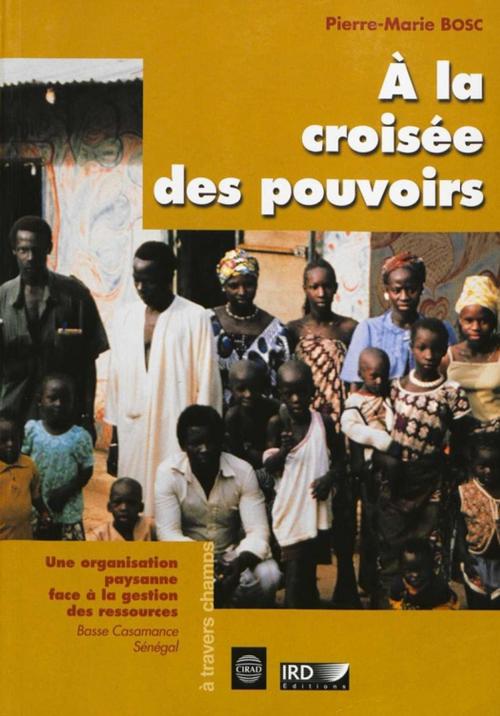 Cover of the book À la croisée des pouvoirs by Pierre-Marie Bosc, IRD Éditions