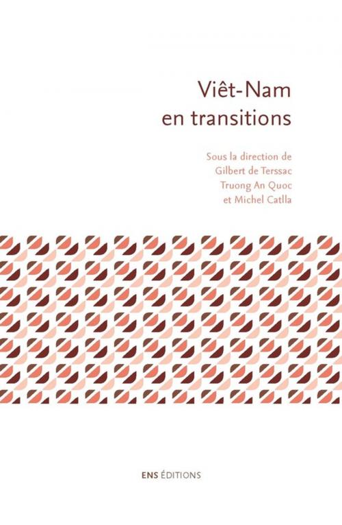 Cover of the book Viêt-Nam en transitions by Collectif, ENS Éditions