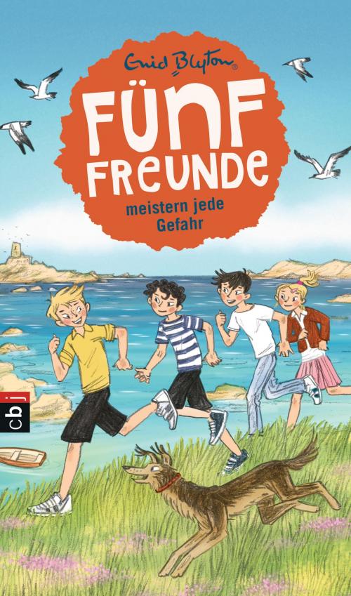 Cover of the book Fünf Freunde meistern jede Gefahr by Enid Blyton, cbj