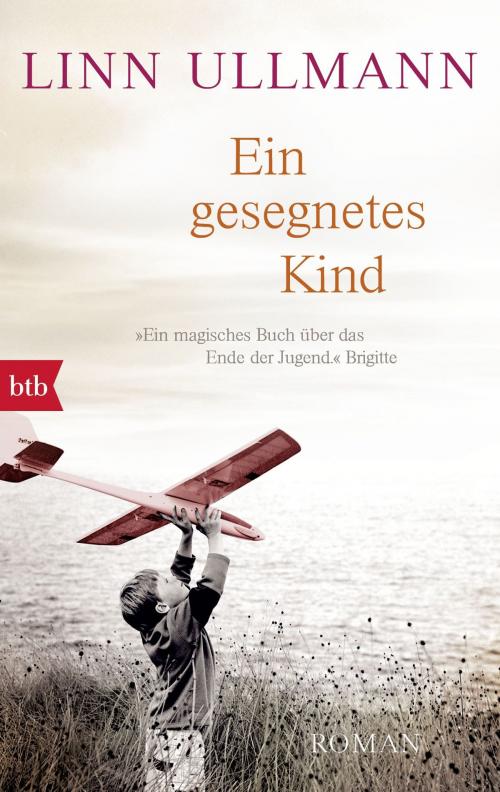 Cover of the book Ein gesegnetes Kind by Linn Ullmann, btb Verlag