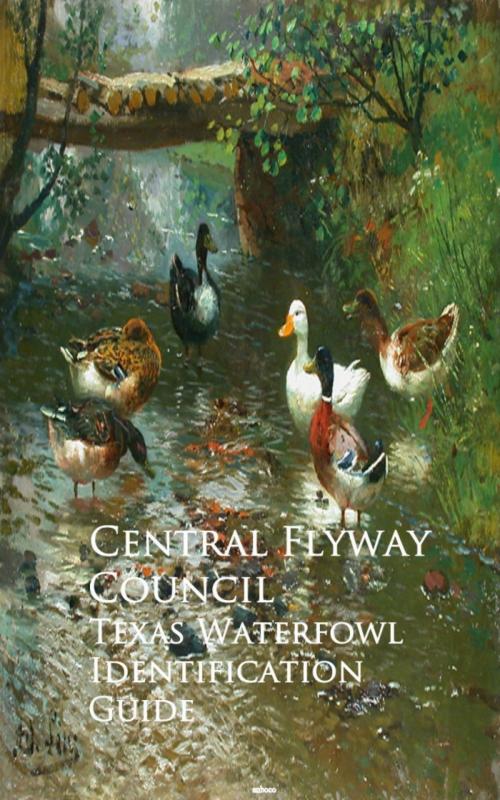 Cover of the book Texas Waterfowl Identification Guide by Central Flyway Council, anboco