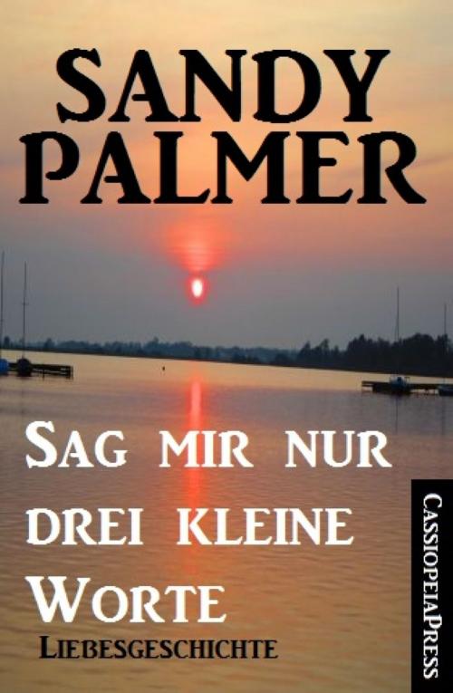 Cover of the book Sag mir nur drei kleine Worte: Liebesgeschichte by Sandy Palmer, BookRix