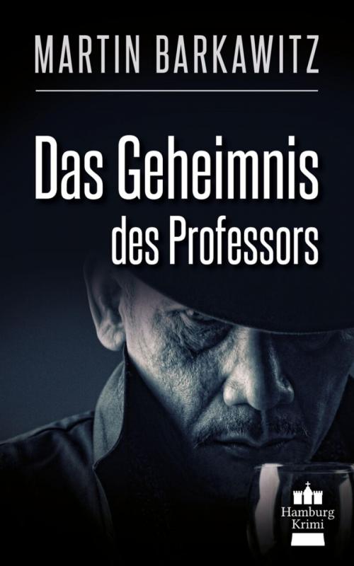 Cover of the book Das Geheimnis des Professors by Martin Barkawitz, BookRix