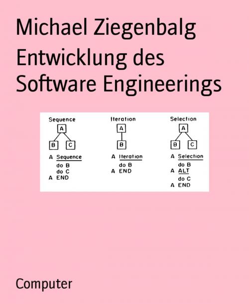 Cover of the book Entwicklung des Software Engineerings by Michael Ziegenbalg, BookRix