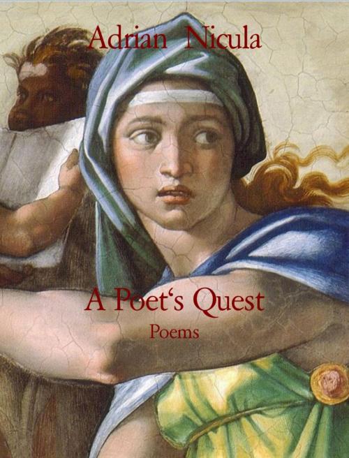 Cover of the book A Poet's Quest by Adrian Nicula, BookRix