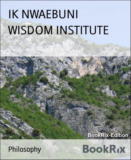 Cover of the book WISDOM INSTITUTE by IK NWAEBUNI, BookRix