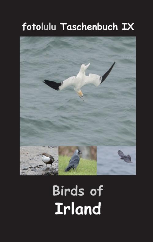 Cover of the book Birds of Irland by fotolulu, Books on Demand