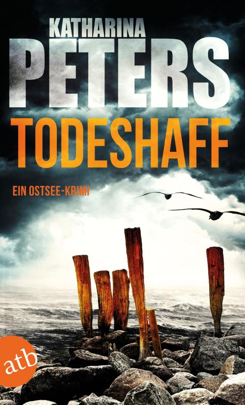 Cover of the book Todeshaff by Katharina Peters, Aufbau Digital