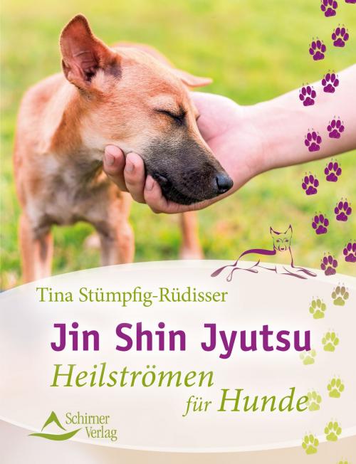 Cover of the book Jin Shin Jyutsu by Tina Stümpfig-Rüdisser, Schirner Verlag