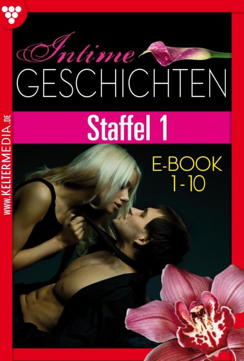 Cover of the book Intime Geschichten Staffel 1 – Erotikroman by Susan Perry, Kelter Media