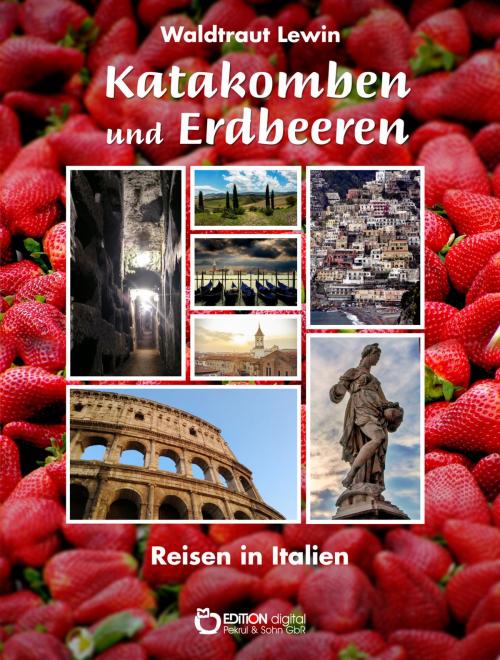 Cover of the book Katakomben und Erdbeeren by Waldtraut Lewin, EDITION digital