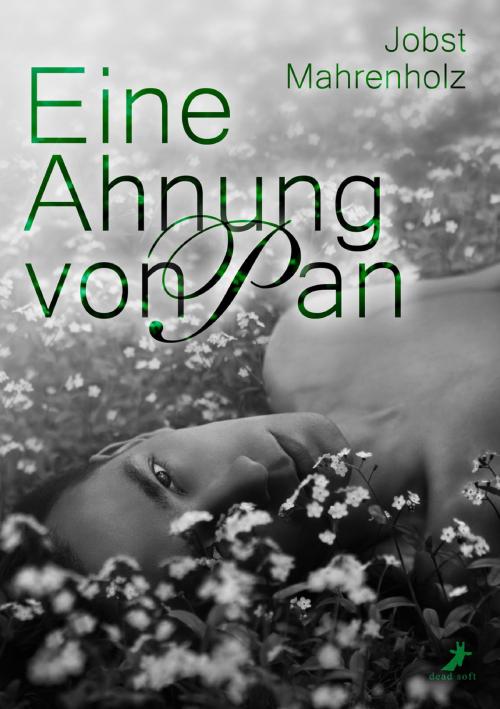 Cover of the book Eine Ahnung von Pan by Jobst Mahrenholz, dead soft verlag