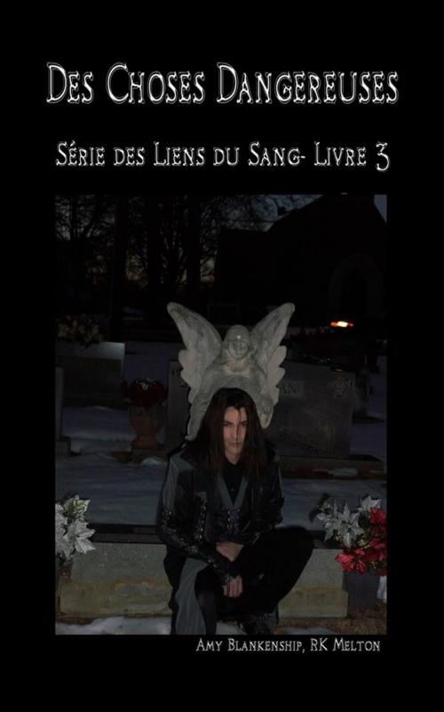 Cover of the book Des choses dangereuses (Les Liens du Sang-Livre 3) by Amy Blankenship, Tektime