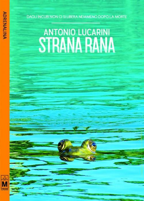 Cover of the book Strana rana by Antonio Lucarini, Le Mezzelane Casa Editrice