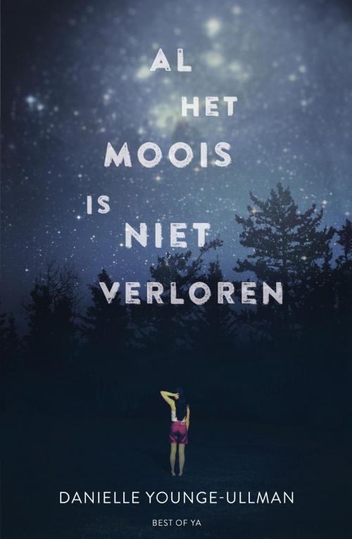 Cover of the book Al het moois is niet verloren by Danielle Younge-Ullman, Uitgeverij Unieboek | Het Spectrum