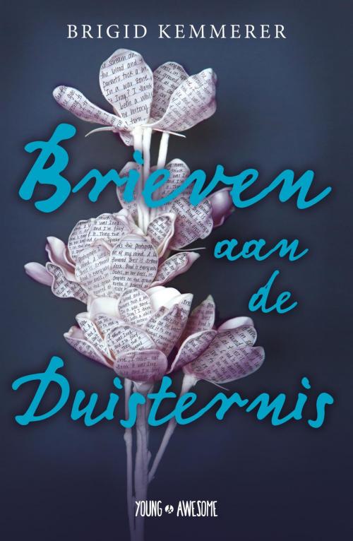 Cover of the book Brieven aan de duisternis by Brigid Kemmerer, WPG Kindermedia