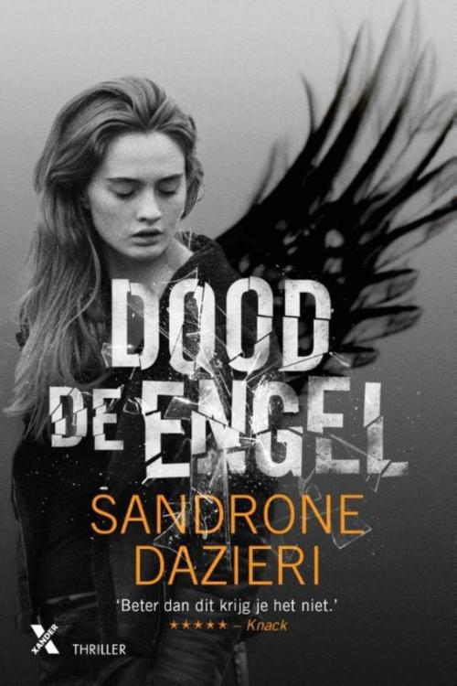 Cover of the book Dood de engel by Sandrone Dazieri, Xander Uitgevers B.V.