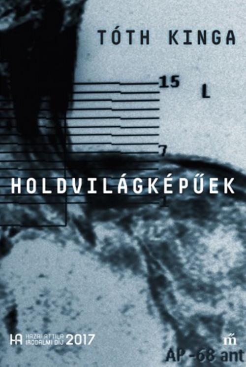 Cover of the book Holdvilágképűek by Tóth Kinga, PublishDrive