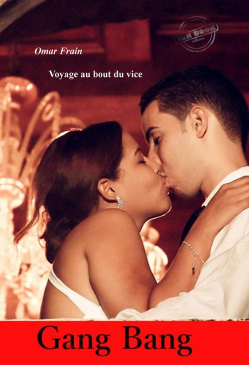 Cover of the book Voyage au bout du vice (roman érotique, bisexuel) by Omar Frain, Ink book