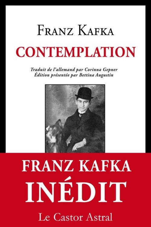 Cover of the book Contemplation by Franz Kafka, Le Castor Astral éditeur