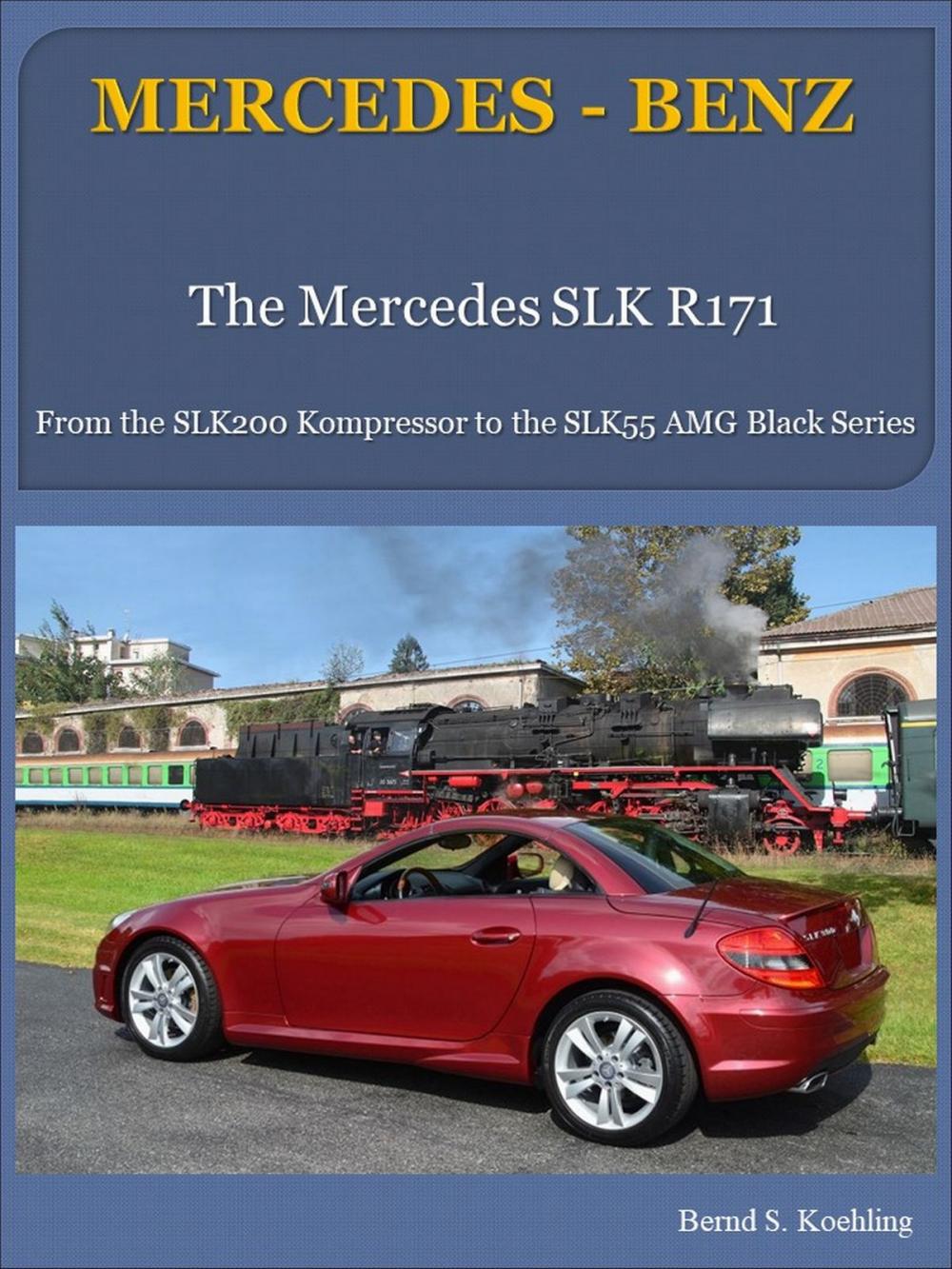 Big bigCover of Mercedes-Benz R171 SLK with buyer's guide and VIN/data card explanation