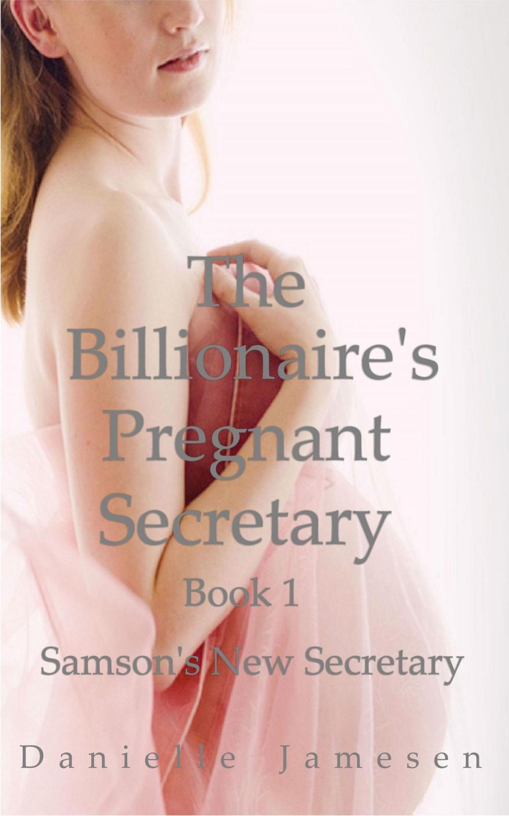 Big bigCover of The Billionaire's Pregnant Secretary 1