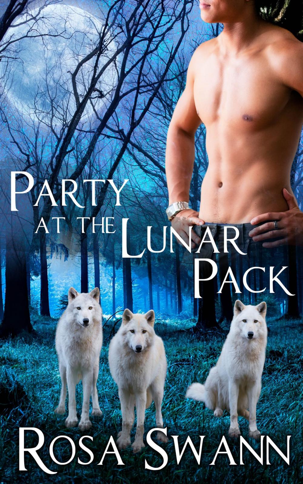 Big bigCover of Party at the Lunar Pack