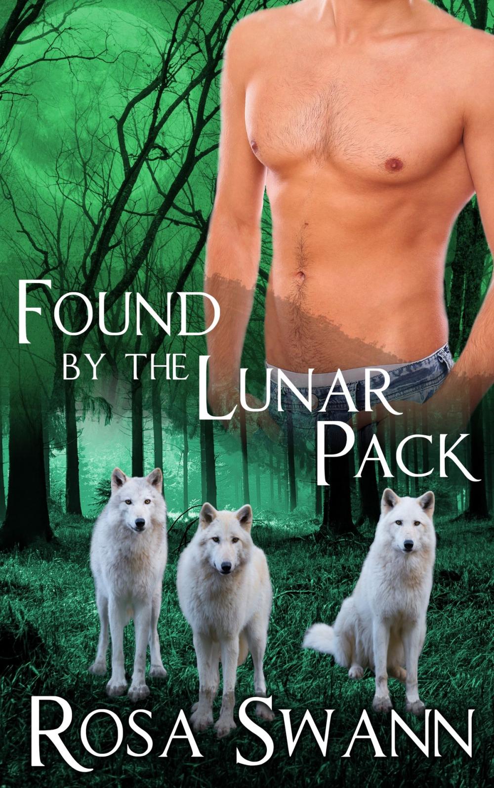 Big bigCover of Found by the Lunar Pack