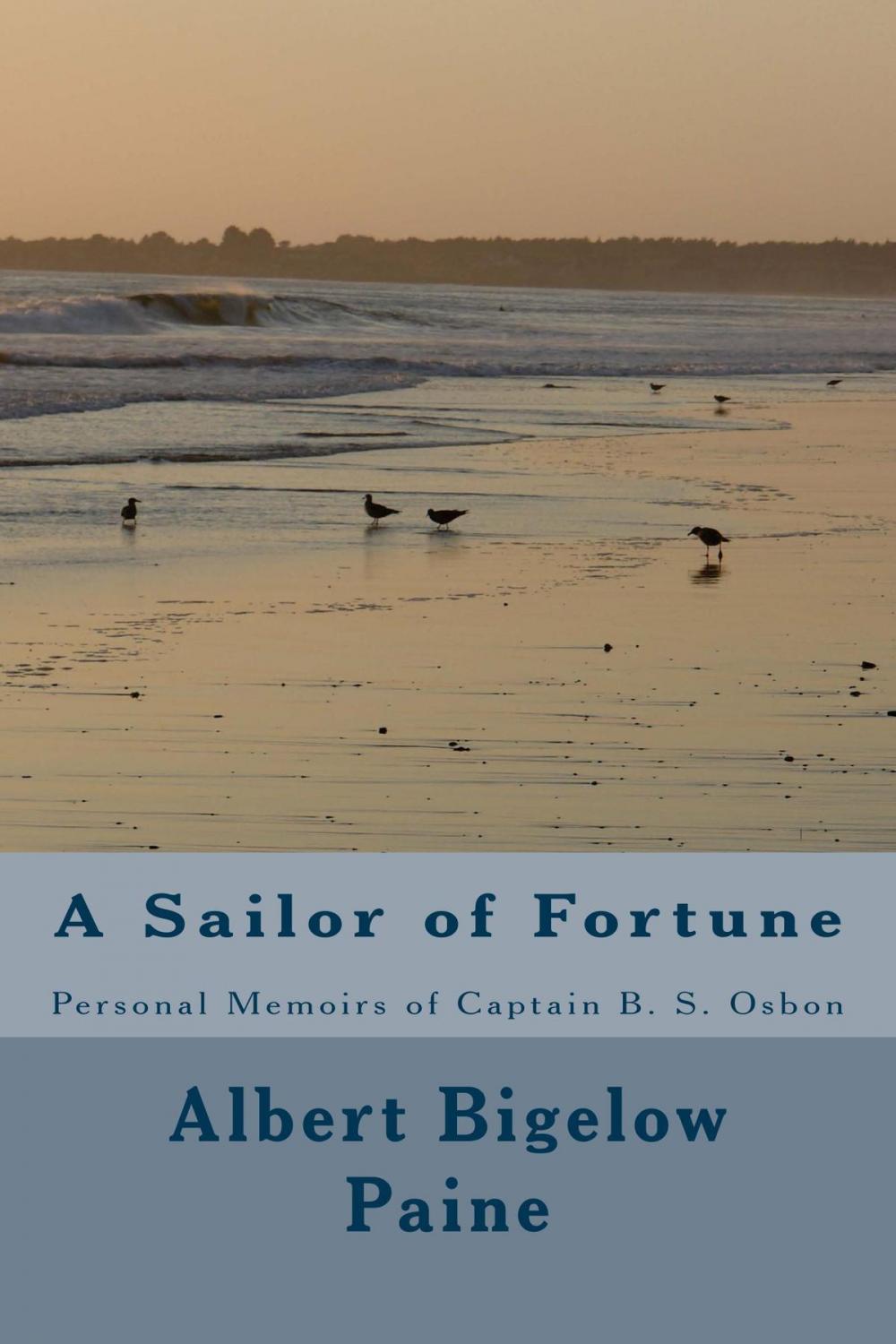 Big bigCover of A Sailor of Fortune (Illustrated Edition)