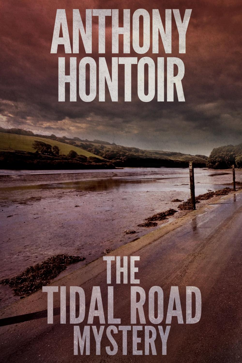 Big bigCover of The Tidal Road Mystery
