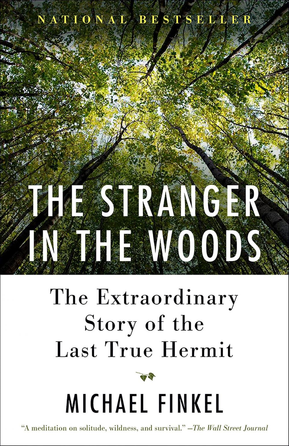 Big bigCover of The Stranger in the Woods