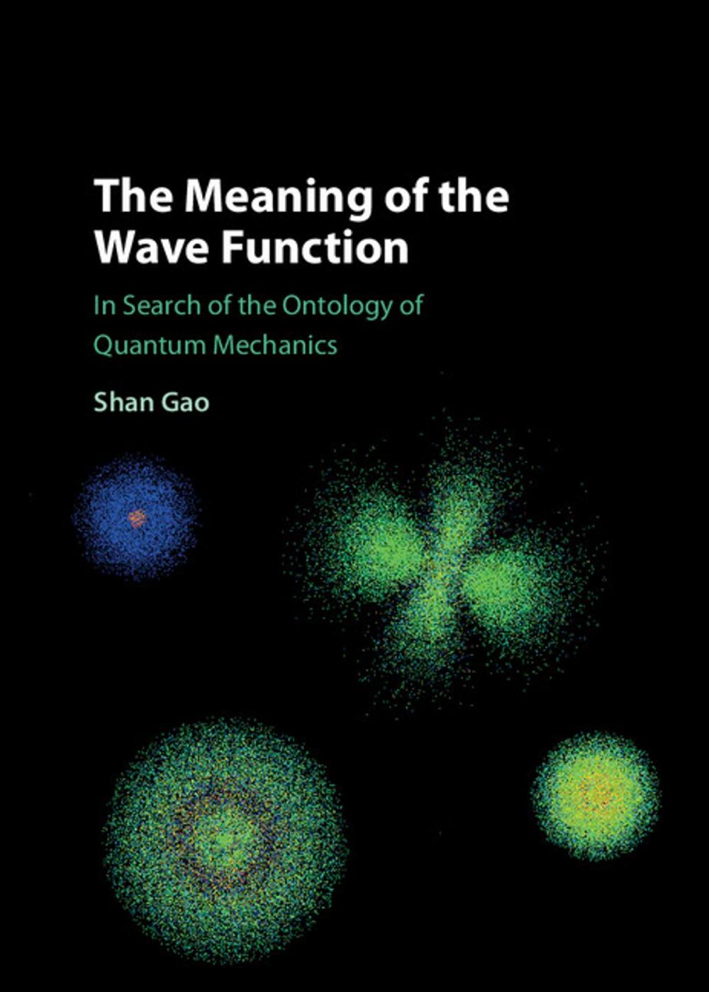 Big bigCover of The Meaning of the Wave Function