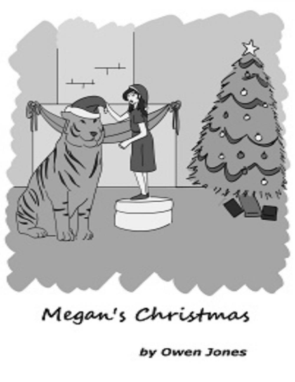 Big bigCover of Megan At Christmas