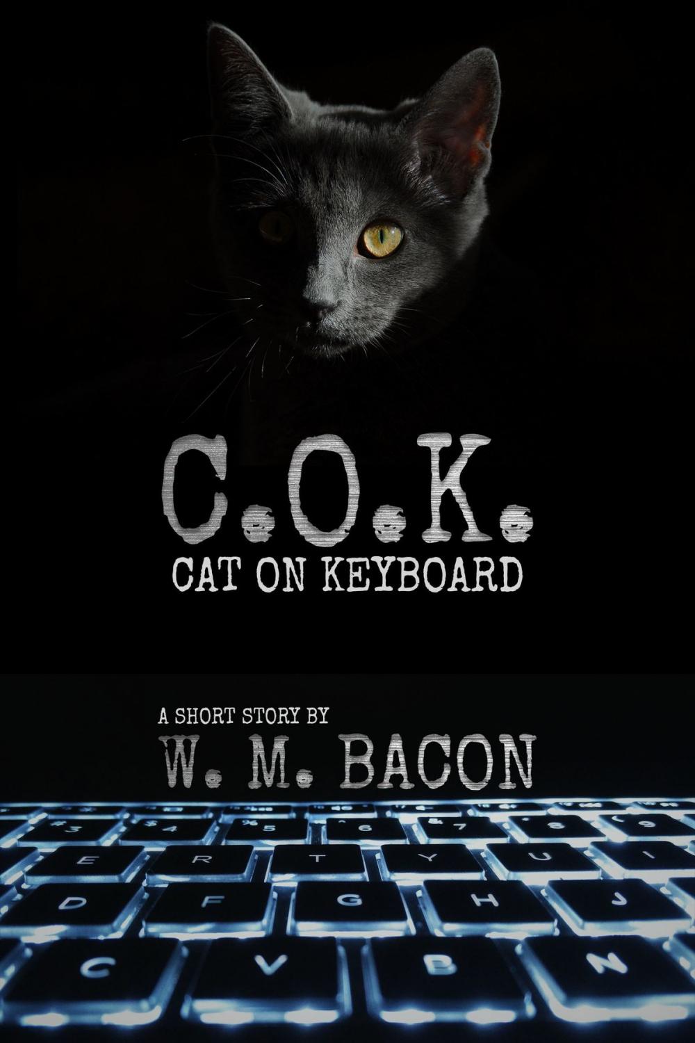Big bigCover of C.o.k. (Cat on Keyboard)