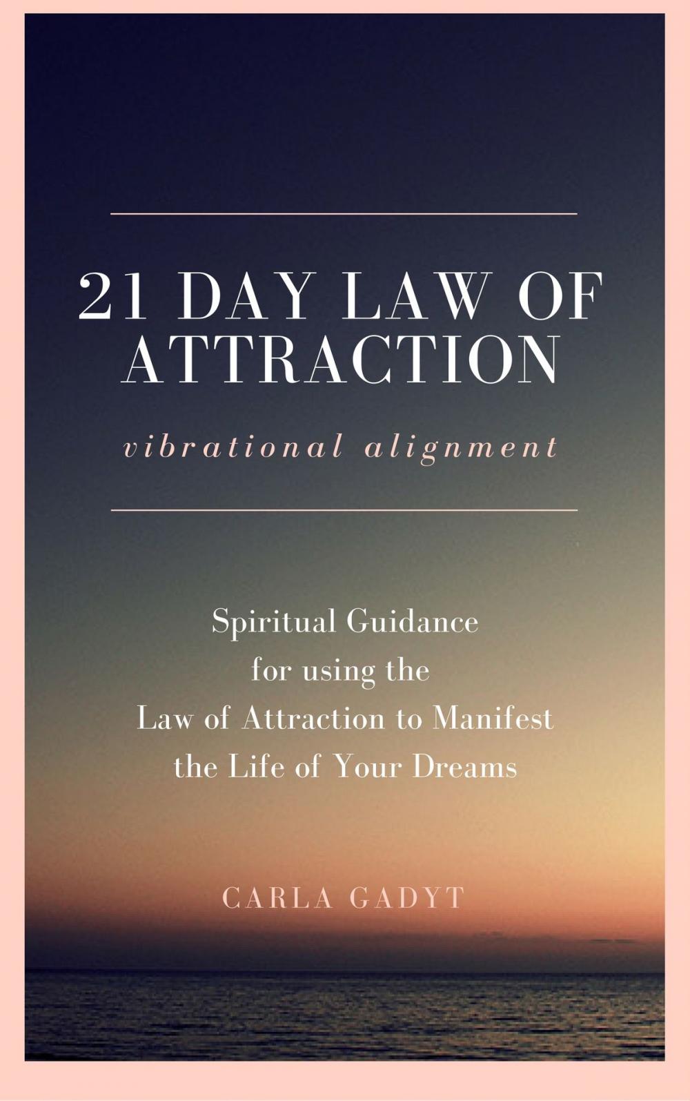 Big bigCover of 21 Day Law of Attraction Vibrational Alignment