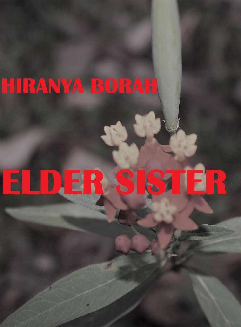 Big bigCover of Elder Sister
